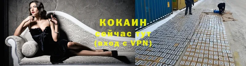 COCAIN Эквадор  Борзя 